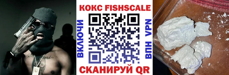 Кокаин Fish Scale  ссылка на мегу зеркало  Усть-Катав 