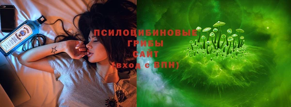 spice Надым